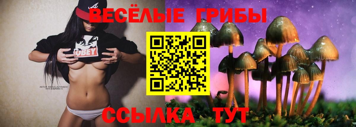 Галлюциногенные грибы ЛСД  Вход с VPN  наркошоп  Галлюциногенные грибы Magic Shrooms  Карталы 